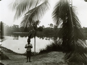 Along the Ogooue river, in Gabon