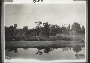 The bank of the Uppinangadi River