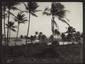 Galle Harbour from Buona Vista