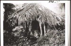 Palmölzubereitung: Oelhütte