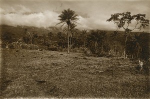 Landscape in Buea, in Cameroon