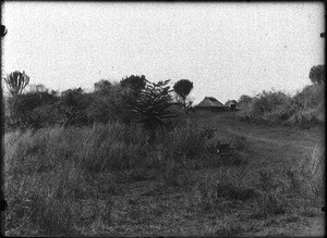 Entrance to the village of Catuane, Mozambique, ca. 1901-1907