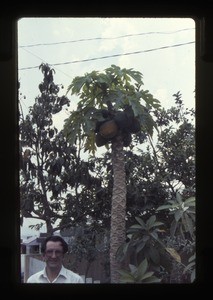 man standing by a tree