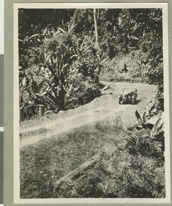 Road through palm forests, Eastern province, Kenya, ca.1924