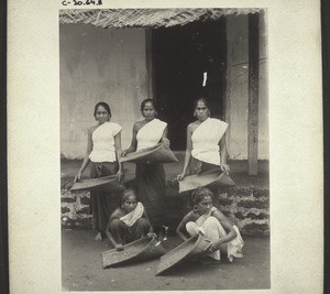 Winnowing rice in India