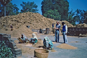 Fra Saldoha Spedalskhedskoloni, Santal Parganas, Nordindien. Jørgen Nørgaard Pedersen på besøg, december 1983. Stedet er grundlagt i 1923 af missionær, ingeniør Eli Bøgh, som ønskede at patienter skulle leve som i en almindelig landsby, med arbejdsmuligheder efter evne, med lokalråd etc. Og stedet blev en model institution, hvor havebrug og landbrug indgik som led i terapien samtidig med, at det bidrog til koloniens økonomi. Sammen med broderen, missionslæge Boe Bojesen Bøgh, opbyggede han det hospital, som blev centrum i kolonien. (Stedet er senere overdraget til Den Internationale Spedalskhedsmission/TLMI)