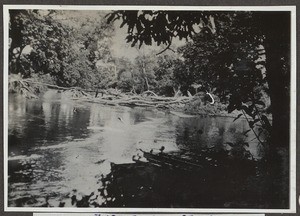 River Kikoletwa and car ferry, Tanzania