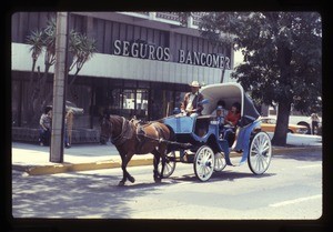 horse-drawn carriage on a city street