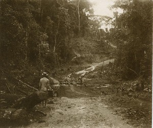 Road from Eseka to Lolodorf, in Cameroon