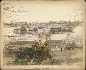 Shinobadzu (Pond) Uyeno Tokio