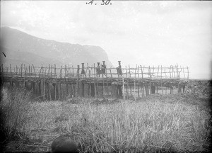 Women crossing a wood bridge, Tanzania, ca.1893-1920