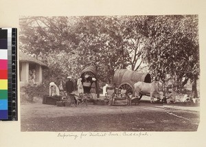 Loading ox and carts for journey, Cuddapah, Andhra Pradesh, India, ca.1885-1889