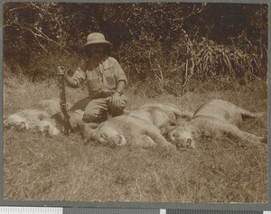 Hunter with lion cubs, Mozambique, 1918