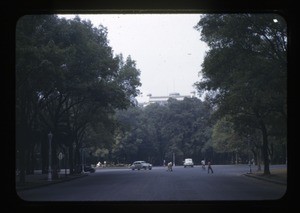 Chapultepec Castle (above trees) Mexico City