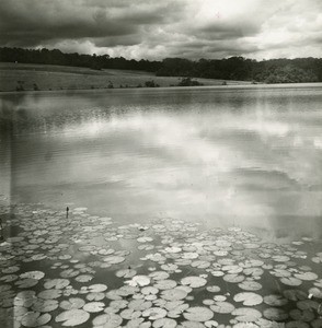 Landscape in Gabon