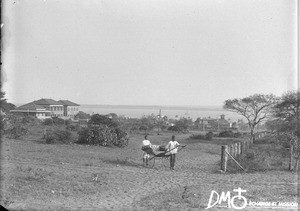 Rickshaw, Maputo, Mozambique, ca. 1896-1911