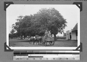 Men on a cart, Clarkson, South Africa, 1934