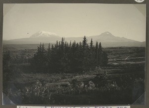 Vista to Mt. Kibo and Mt. Mawensi, Mamba, Tanzania, ca.1929-1940