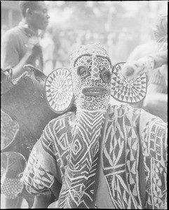 Dancers in the Bamileke region