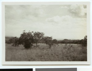 Landscape between Jericho and Kroondal, South Africa