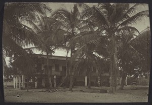 Coconut palms in the courtyard of the Basel Mission trading post in Addah