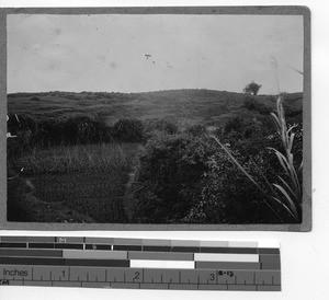 The Luoding hills at Luoding, China, 1930