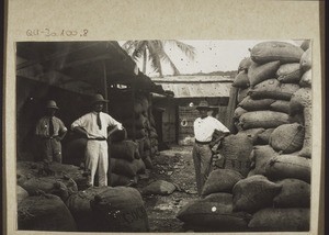 Faktorei Yard Februar 1923 / W. Sturzenegger, Rosenmund