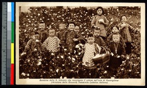 Mission children picking cotton, China, ca.1920-1940