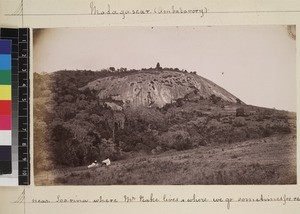 Landscape view, Ambatovory , Toliara, Madagascar ca. 1870