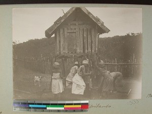 Malagasy women pounding corn, Ambohimitambo, Madagascar, 1905