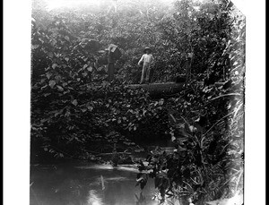 Crossing a river in Cameroon