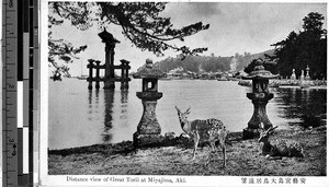 Distance view of great torii, Miyajima, Japan, ca. 1920-1940