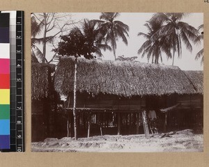 Man and dog entering house, Delena, Papua New Guinea, ca. 1905-1915