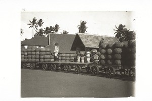 Mangalore. Loading rice