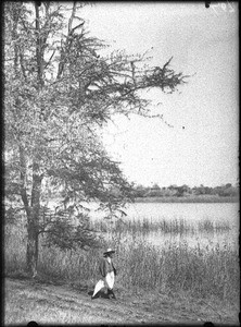 Lake near Catuane, Mozambique, ca. 1901-1907