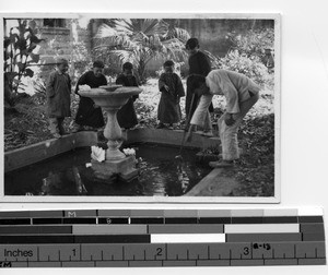 Father Down's flower garden in Meixien, China, 1935