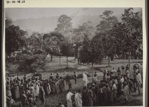 Africans firing their guns