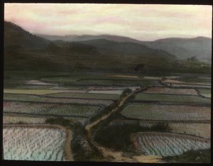 View overlooking rice paddies, China, ca.1917-1923