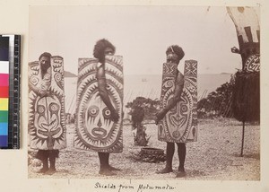 Portrait of three men with ceremonial shields, Papua New Guinea, ca. 1890