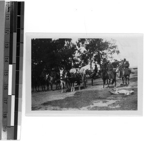 On the way back from the supreme chief of the Tembu, South Africa East, 1929-11-11