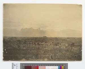 Namuli mountain range, Mozambique, ca.1910