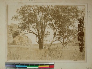 Bara landscape, Isalo, BaraMadagascar, ca.1892