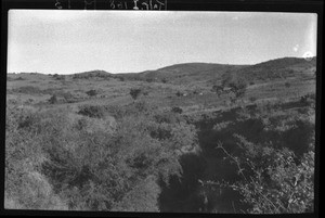 Landscape near Elim, Limpopo, South Africa, ca. 1933-1939