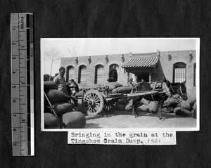 Grain dump, Tingzhou, China, 1921