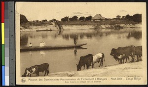 Missionary sisters canoe on the Uele River, Congo, ca. 1920-1940