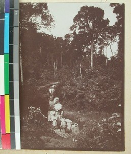 Traveling through the forest, Madagascar, 1901