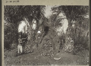 Termite hill in Africa