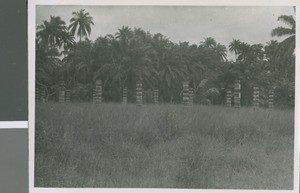 Church Ruins, Use Ndon, Nigeria, 1950