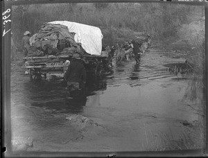 Wagon crossing the Groot Letaba, South Africa, ca. 1901-1907