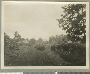 View from the mission house, Chogoria, Kenya, ca.1924